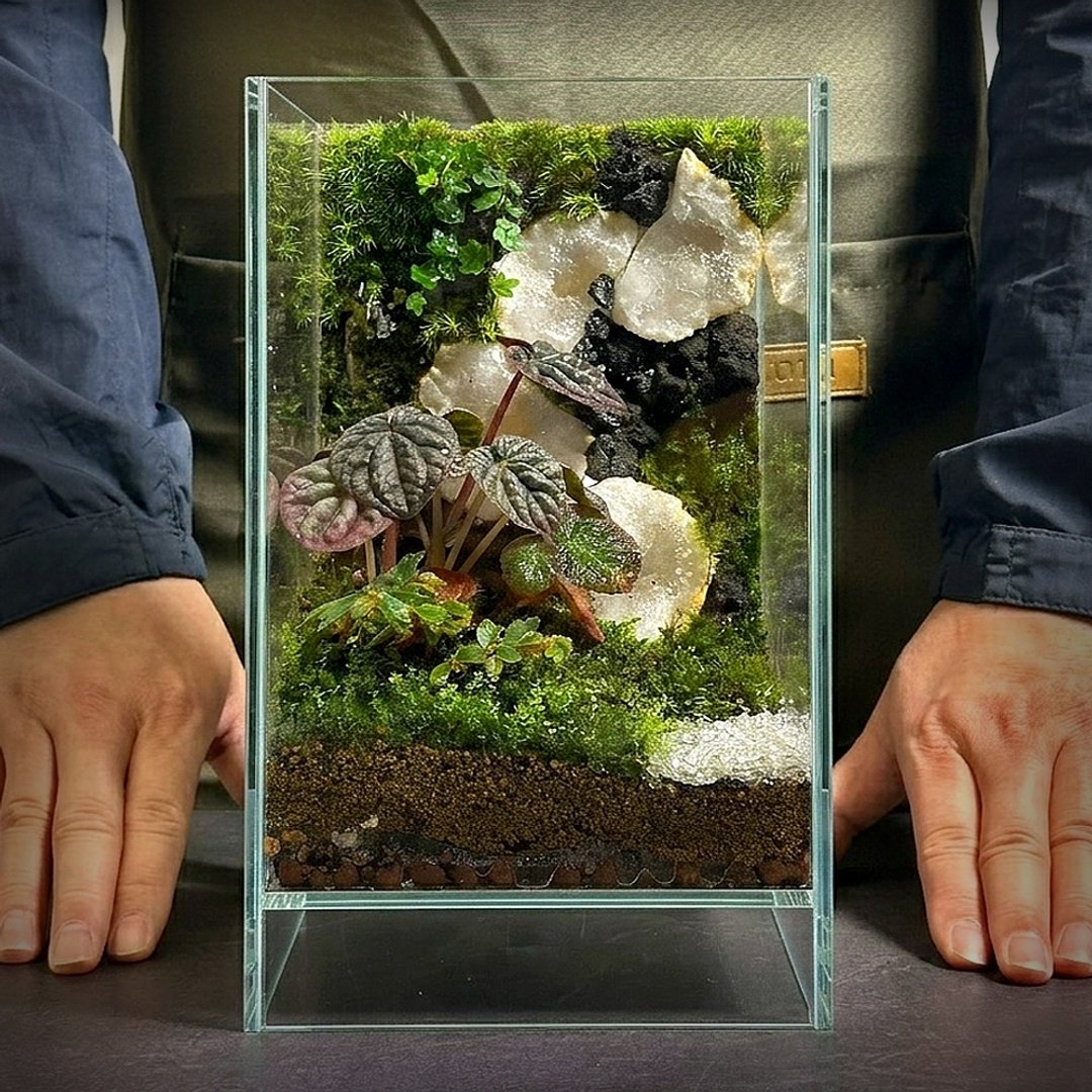 光藏山境 / 摩洛哥晶洞定制化景观生态缸 - 植栽/盆栽 - 植物．花 