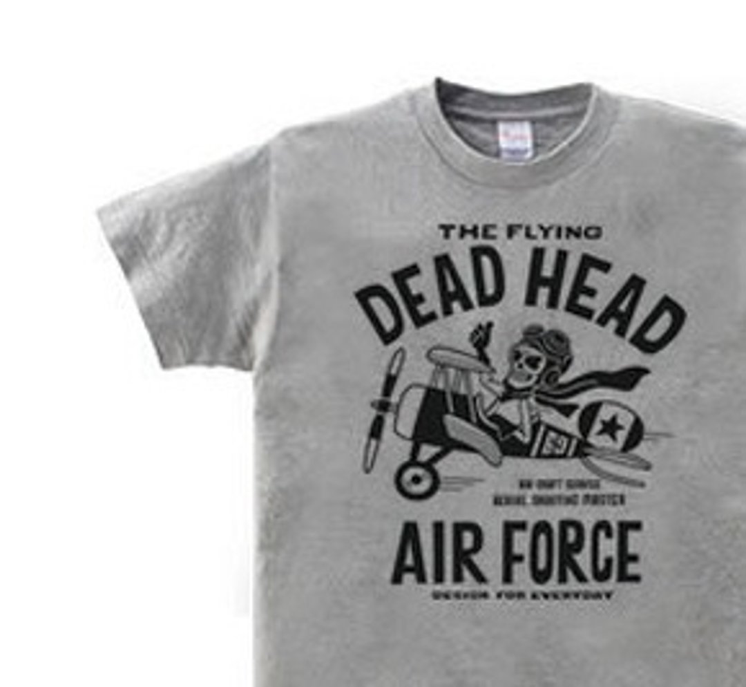 Flying skeleton ~ THE FLYING DEAD HEAD ~ WS ~ WM • S ~ XL T-shirt order product] - 中性连帽卫衣/T 恤 - 棉 灰色