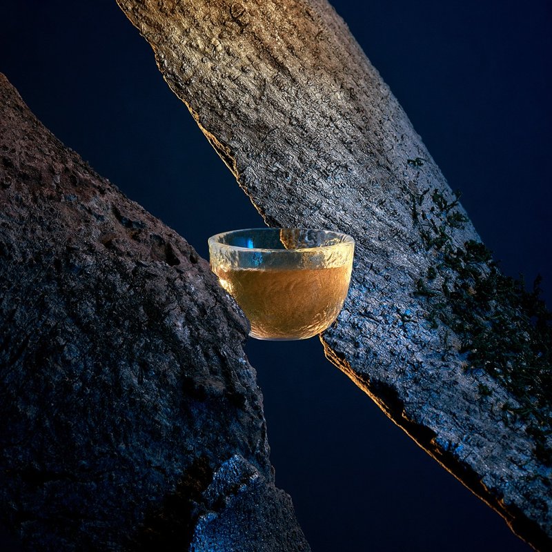 【得奖2星茶品】羽曦堂-龙磐守珠(熟香传统台湾冻顶乌龙茶) - 茶 - 新鲜食材 
