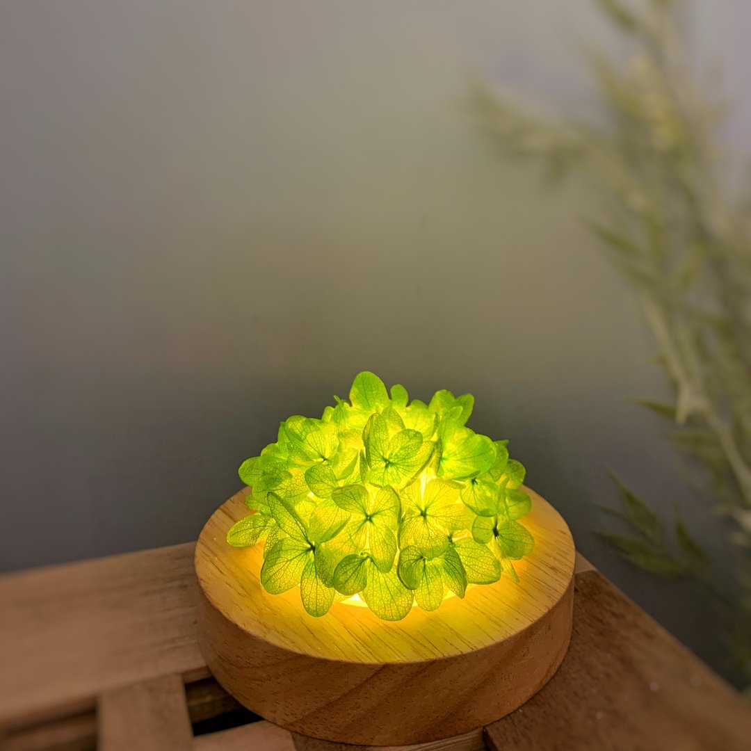 绿色绣球小夜灯 水晶气氛灯 天然石艺术灯 手作礼物 - 灯具/灯饰 - 植物．花 绿色
