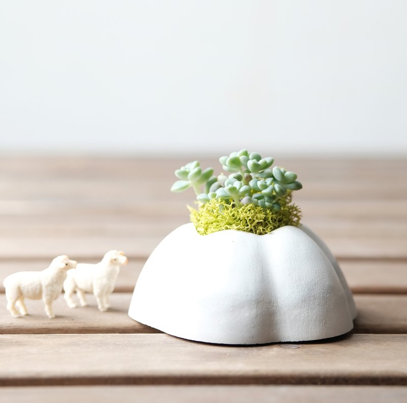 霜降蛋糕山-水泥多肉盆栽材料包 Succulents potted - 植栽/盆栽 - 水泥 白色