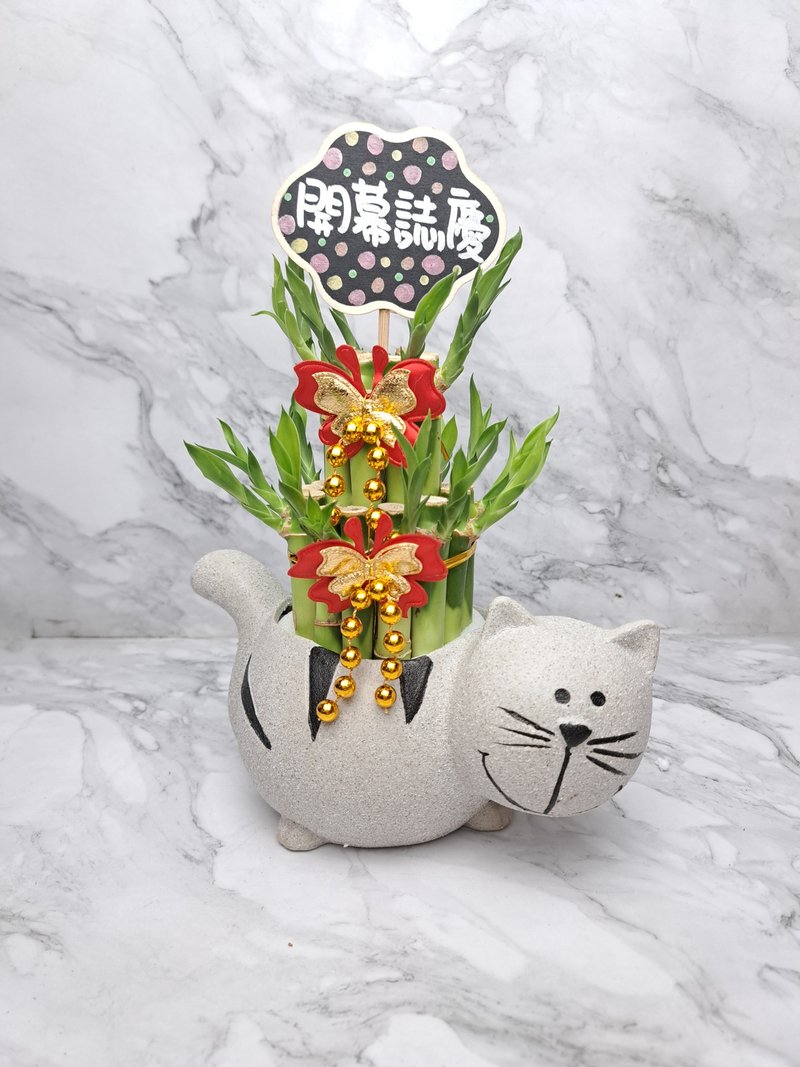 文青猫咪 开运竹 开幕送礼 交换礼物 乔迁 入厝 居家摆设 - 植栽/盆栽 - 瓷 灰色