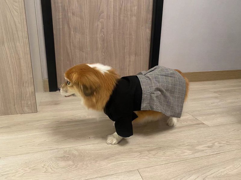 宠物和服套装-黑色上衣配灰色格纹袴 - 衣/帽 - 棉．麻 黑色