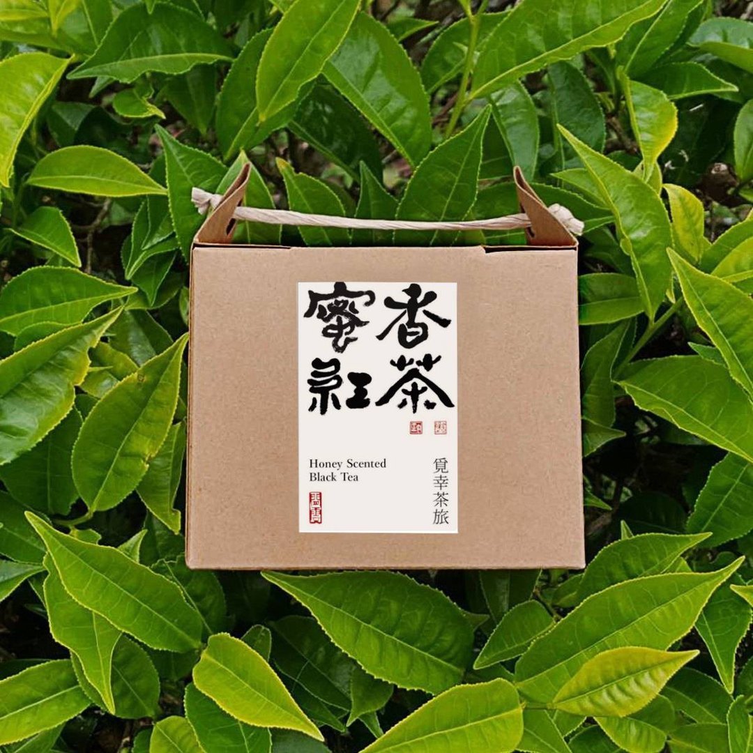 蜜香红茶 | 茶包10入【清甜蜜香】 - 茶 - 新鲜食材 