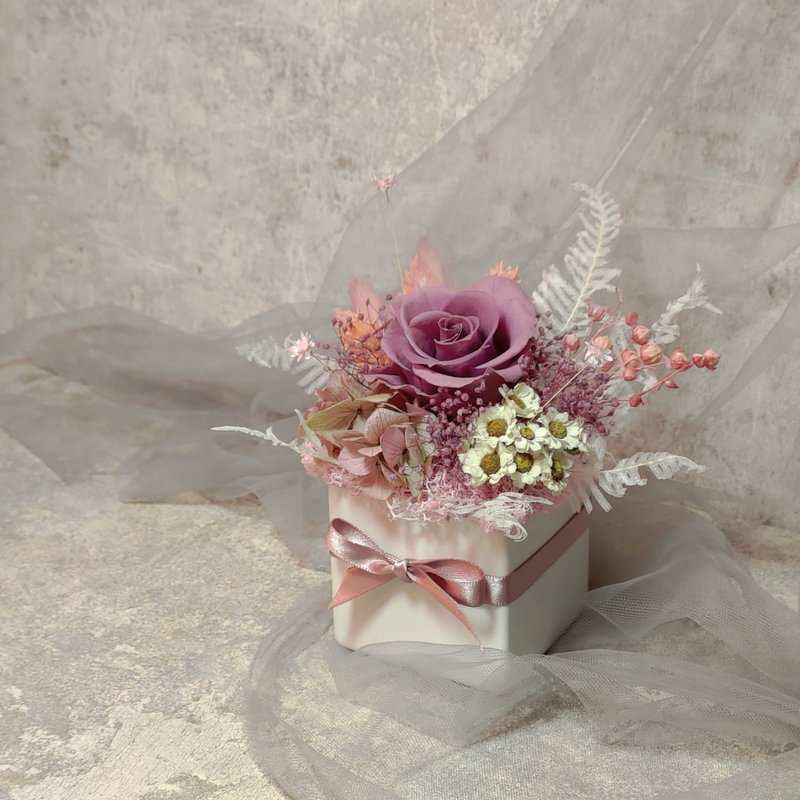 永生盆花 珊瑚粉紫配色 不凋花 永生花 干燥花 花礼 - 干燥花/捧花 - 植物．花 紫色