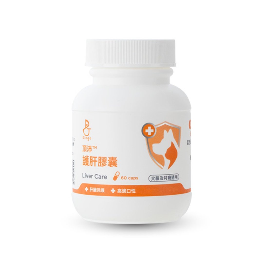 【Dingo顶沛】护肝胶囊60颗 猫狗保健 鸡肝风味 身体机能保健 - 其他 - 其他材质 