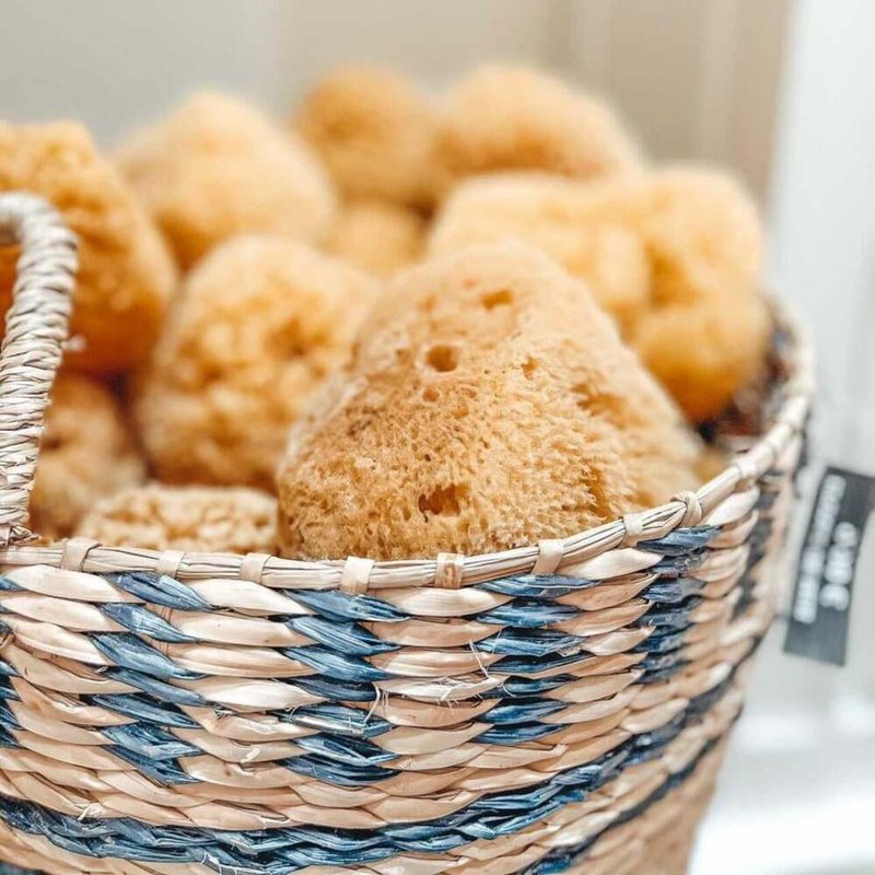 法国La Maison 马赛皂之家天然顶级蜂窝海绵 - 卫浴用品 - 海绵 黄色