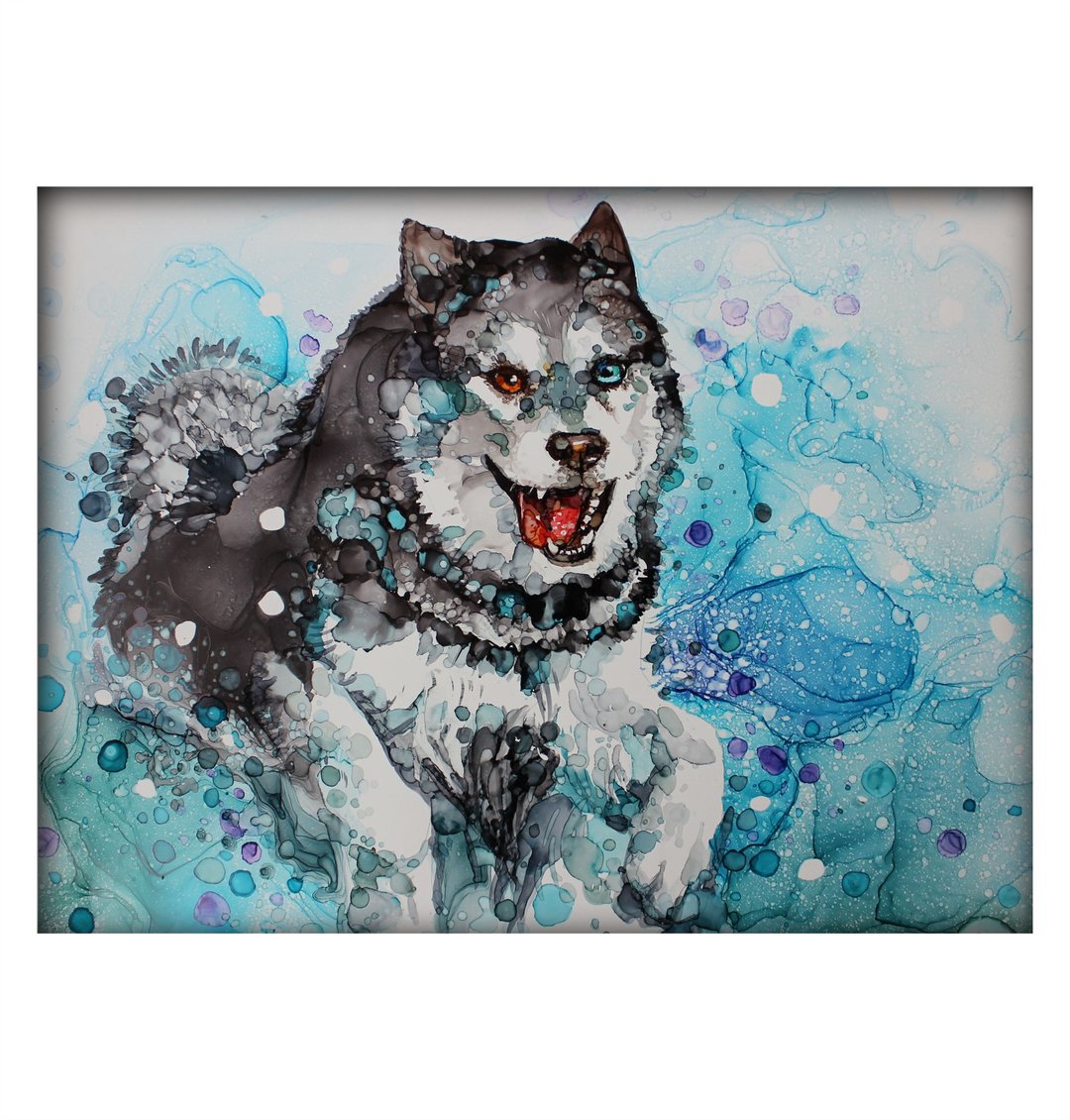 手绘的宠物哈士奇马拉穆特犬画像 - 墙贴/壁贴 - 纸 蓝色