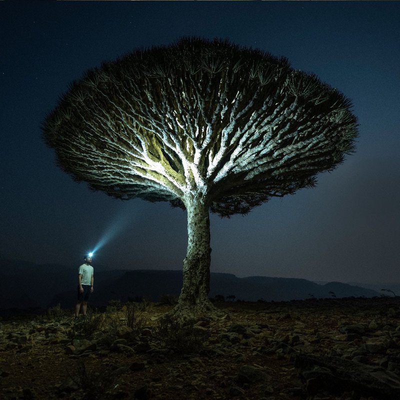 德国Ledlenser HF6R Signature 充电式数位调焦专业头灯 - 其他 - 铝合金 黑色