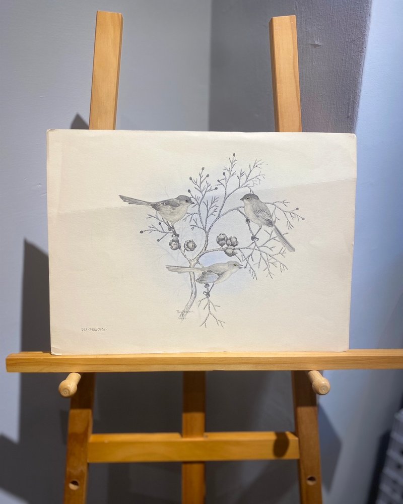 美国鸟类画家Rex Brasher-北美鸟类与树木-1931年手工上色胶版画 - 海报/装饰画/版画 - 纸 蓝色