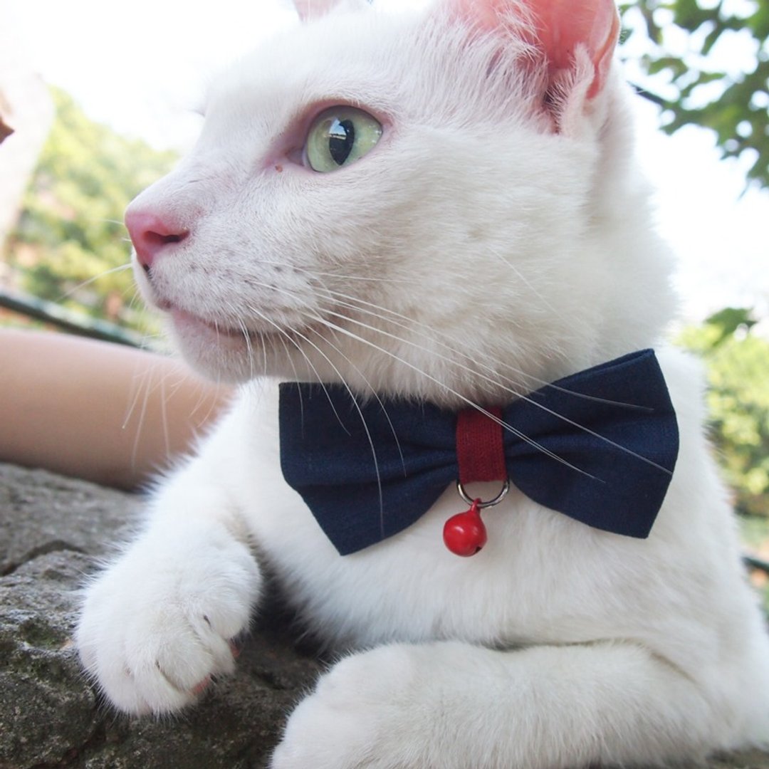 海军蓝X深红 蝴蝶结宠物装饰项圈 猫咪 小型犬 迷你犬 - 项圈/牵绳 - 棉 蓝色