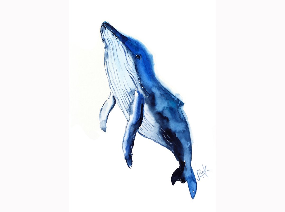 Whale Painting Navy Blue Nautical Original Watercolor Humpback Whale Wall Art - 海报/装饰画/版画 - 其他材质 蓝色