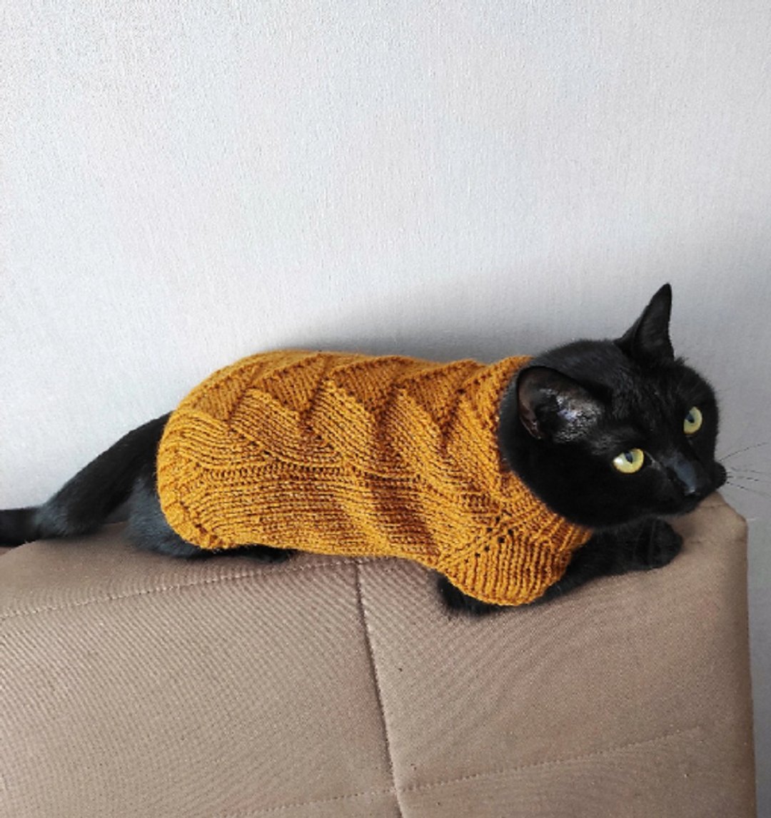 Cat sweater Cat jumper Hand knit pet clothing cat outfits jumpers for cats - 衣/帽 - 羊毛 