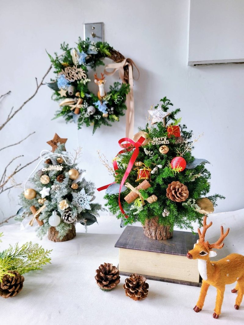 缤纷圣诞。圣诞树手作课  附串灯 (干燥雪松/永生雪松 ) 白圣诞树 - 植栽 - 植物．花 