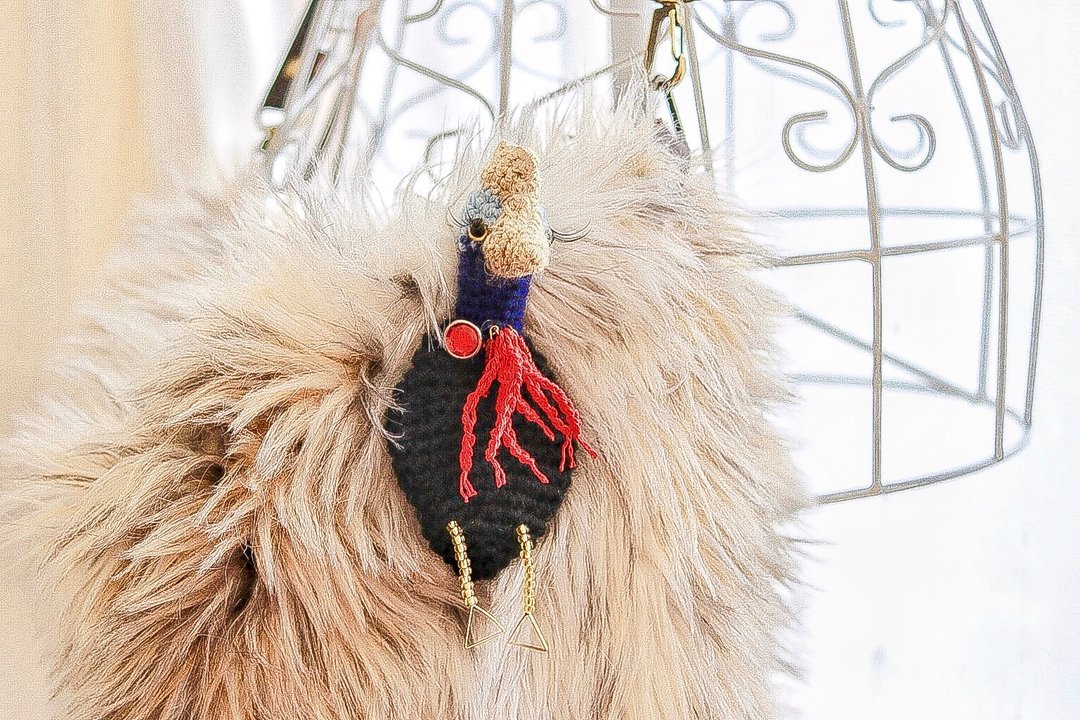 Passionate beauty's clown brooch cassowary - 胸针 - 羊毛 