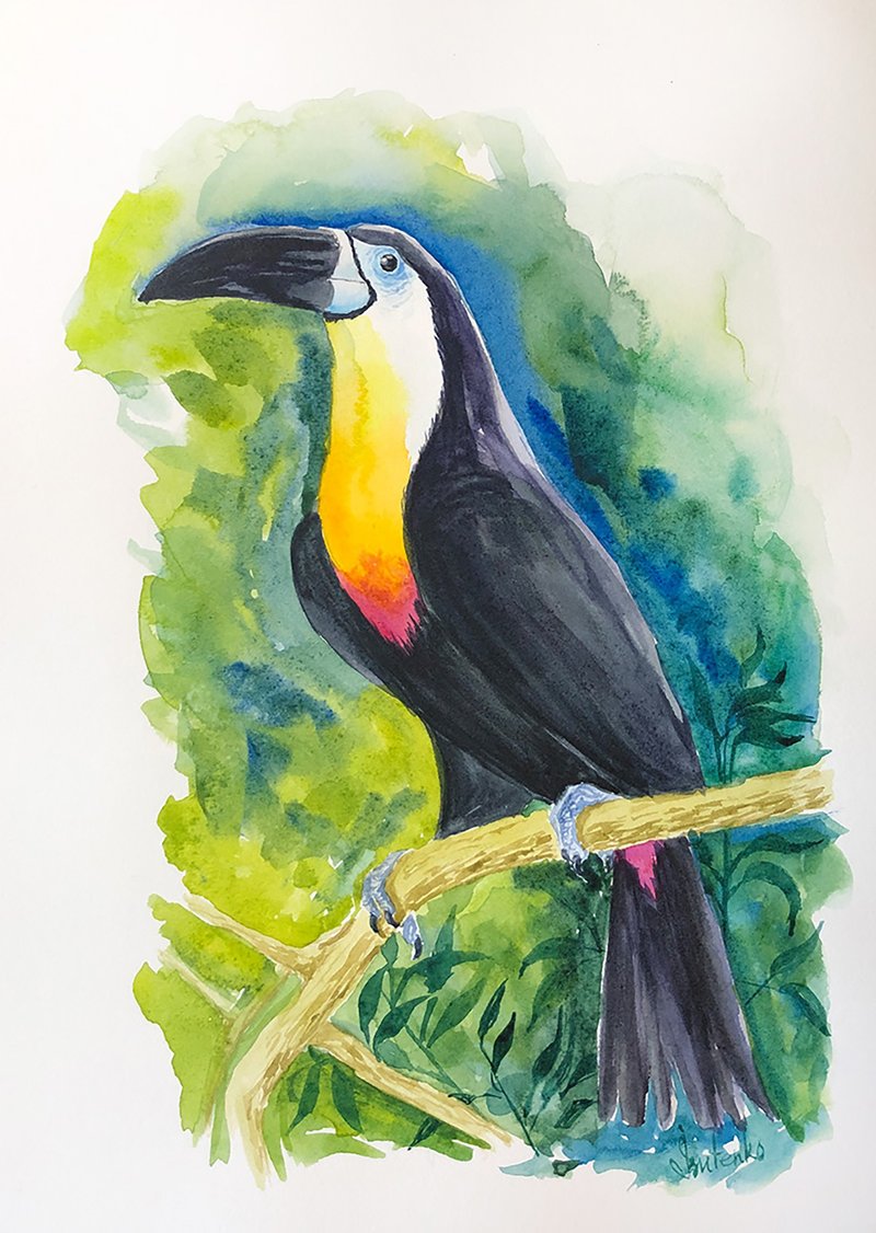 Toucan Painting Bird Original Artwork Animal Watercolor Tropical Wall Art - 海报/装饰画/版画 - 纸 绿色