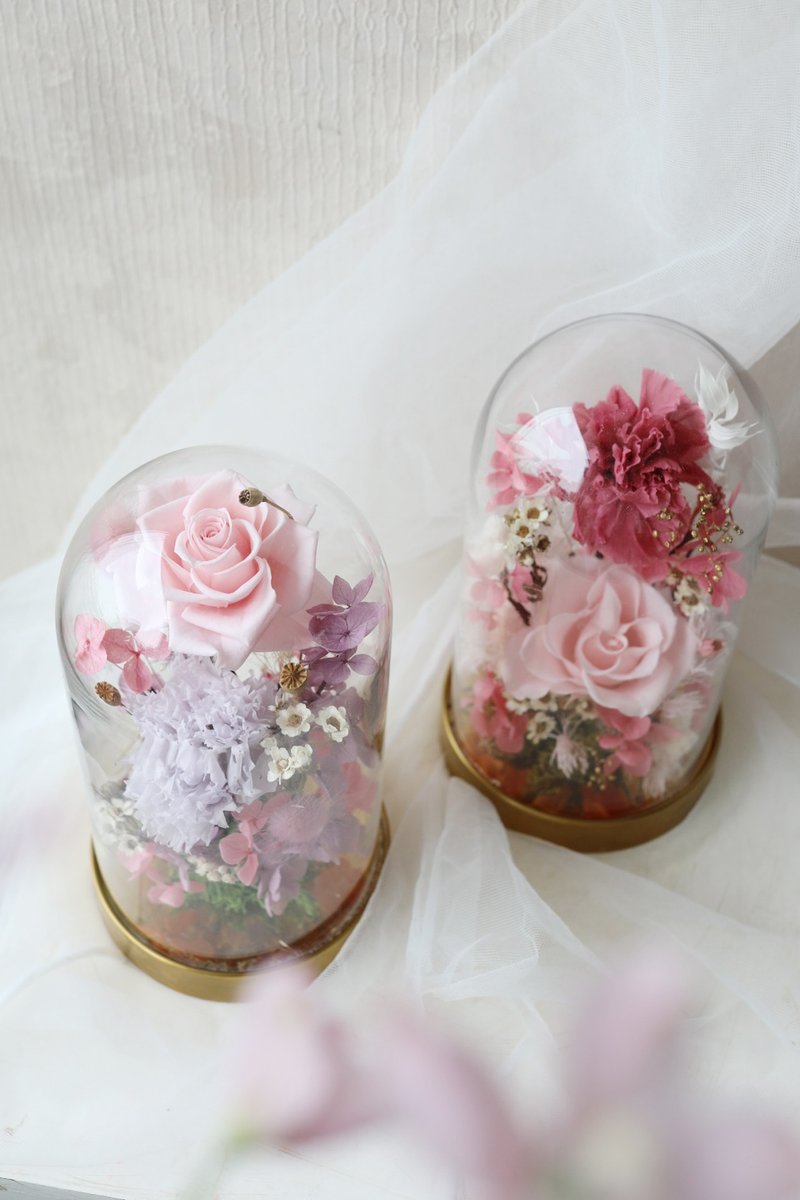 永生康乃馨玫瑰钟罩 - 干燥花/捧花 - 植物．花 粉红色