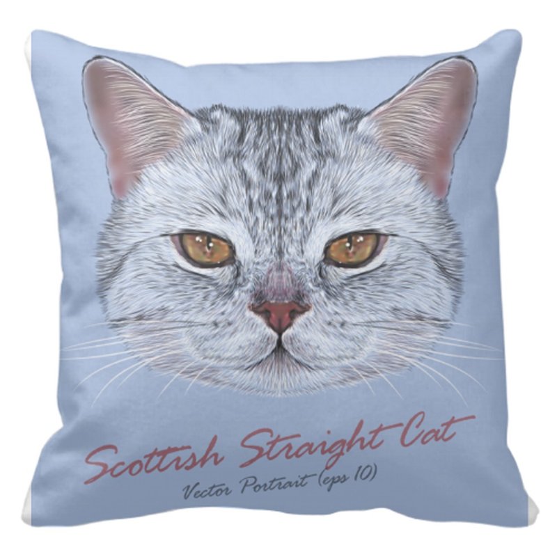 细毛绒抱枕 - 枕头/抱枕 - 棉．麻 多色