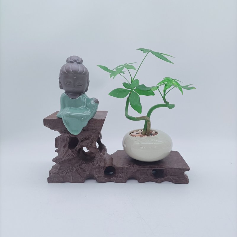 迷你招财树 - 植栽/盆栽 - 其他材质 绿色