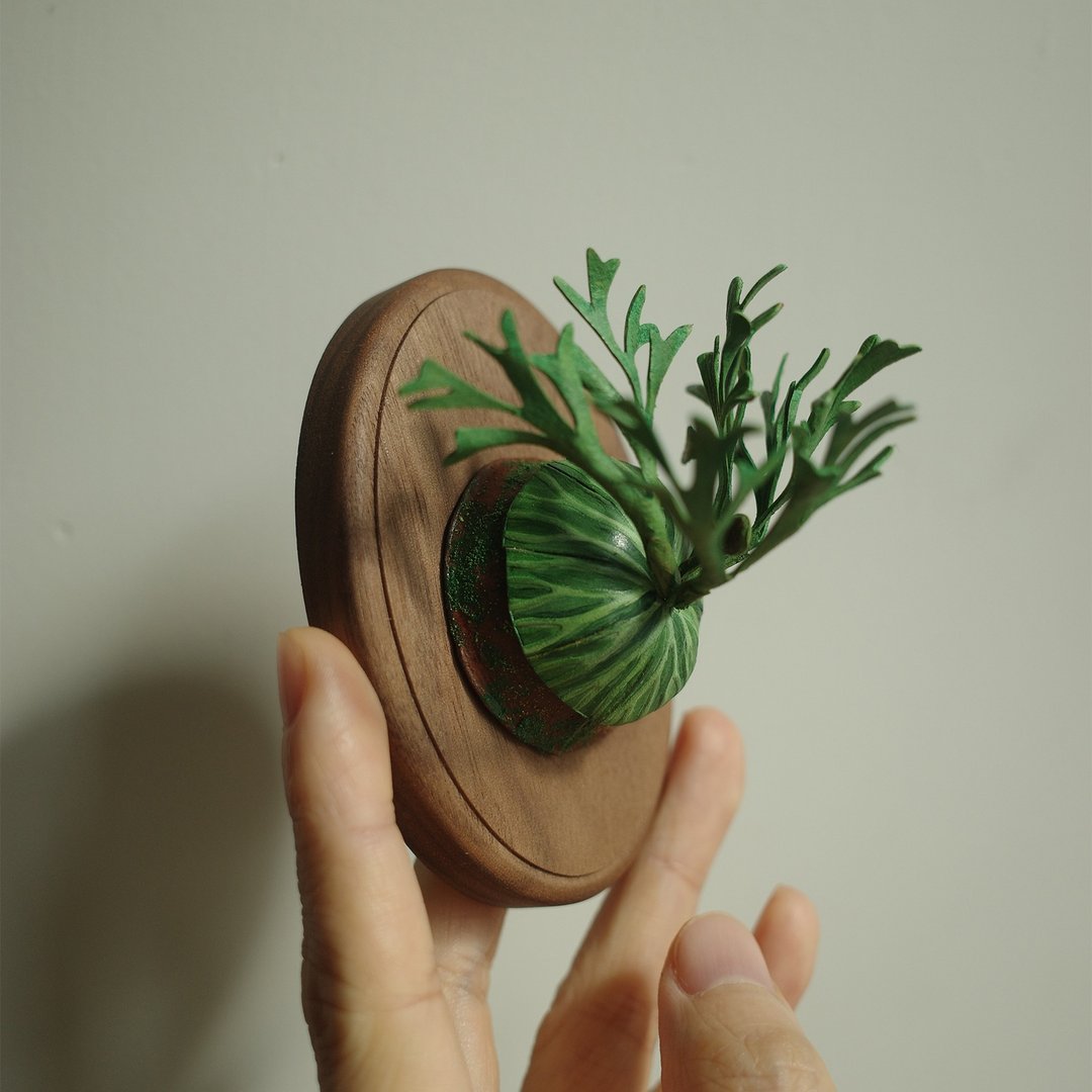 亚洲猴脑鹿角蕨 platycerium ridleyi - 植栽/盆栽 - 真皮 