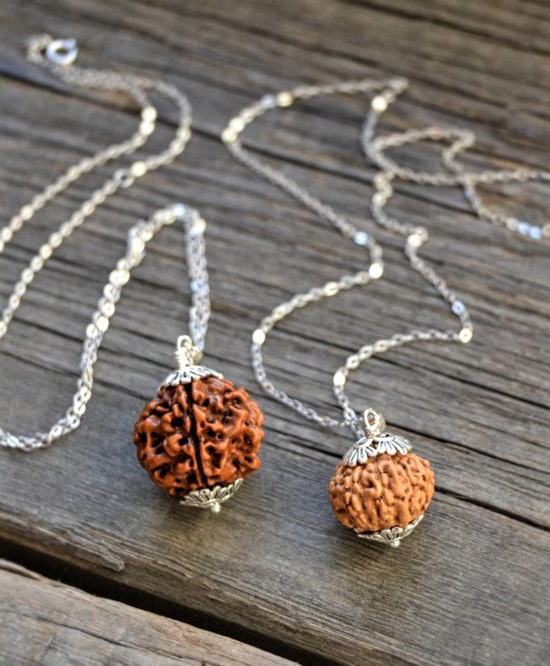 Rare Rudraksha 5-face & 10- face Pendant from India & Napal with Silver Fittings - 项链 - 木头 咖啡色