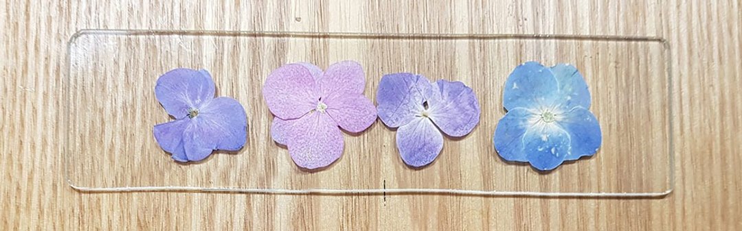 指定定制∣植物图鉴∣粉/紫/蓝/绣球花∣玻璃镶崁∣4X15厘米 - 书签 - 植物．花 白色