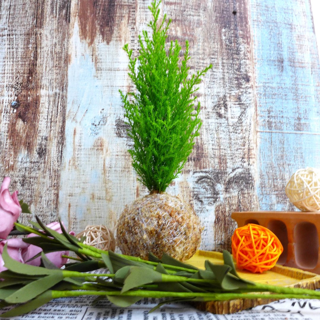 芊艹手作/ 小树系列苔球 - 香冠柏 - 植栽/盆栽 - 植物．花 绿色