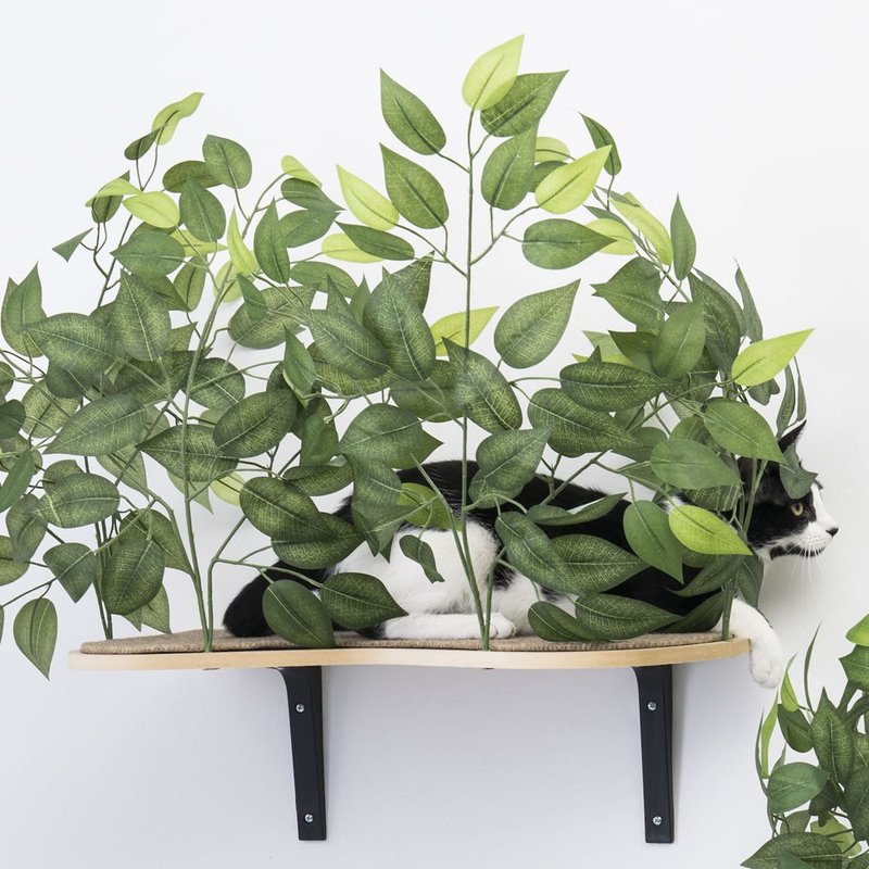 美国On2Pets 栩栩如生猫树跳台-壁挂型(黑色) 一组有两座 - 玩具 - 木头 绿色