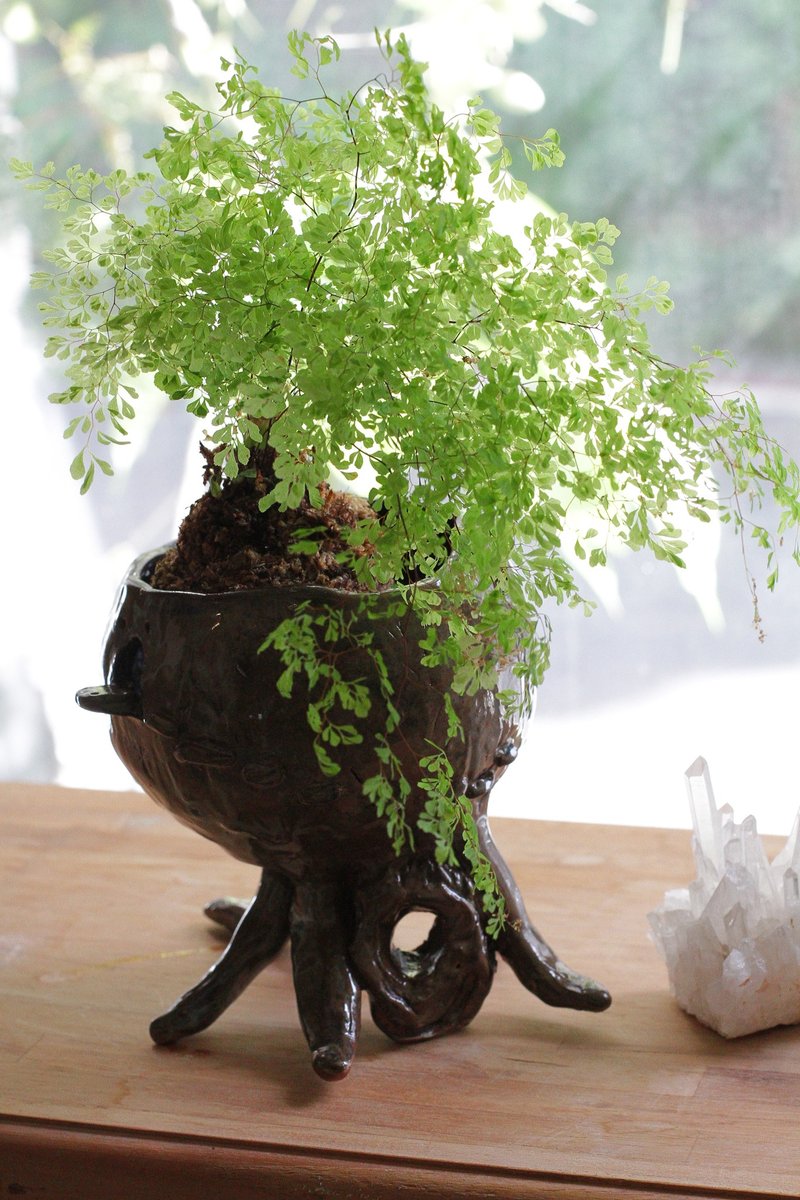 纯手捏海底兽陶瓷烛台/花器/苔球座/收纳 - 花瓶/陶器 - 陶 咖啡色