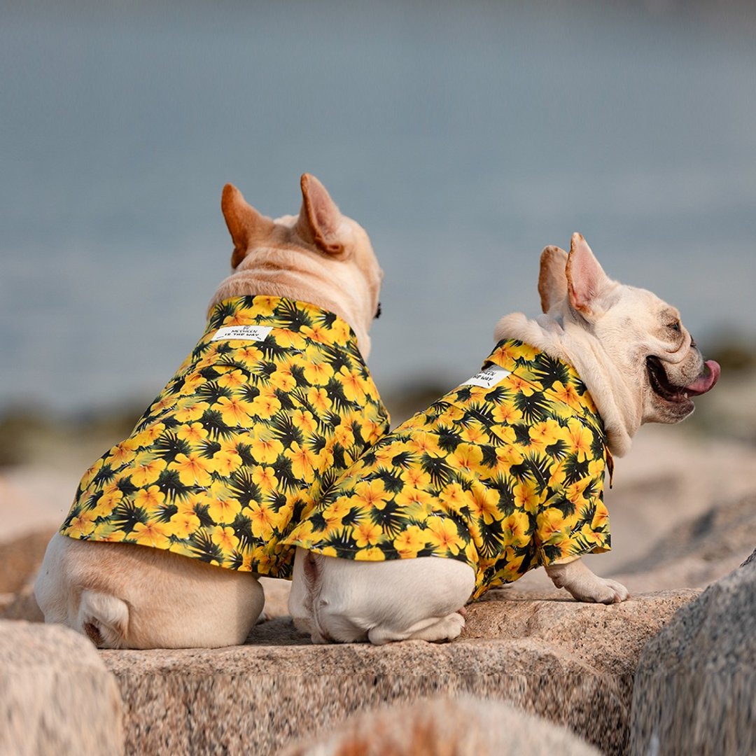 宠物度假风薄款透气衬衫纯棉狗狗衣服中大小型犬法斗 - 衣/帽 - 棉 