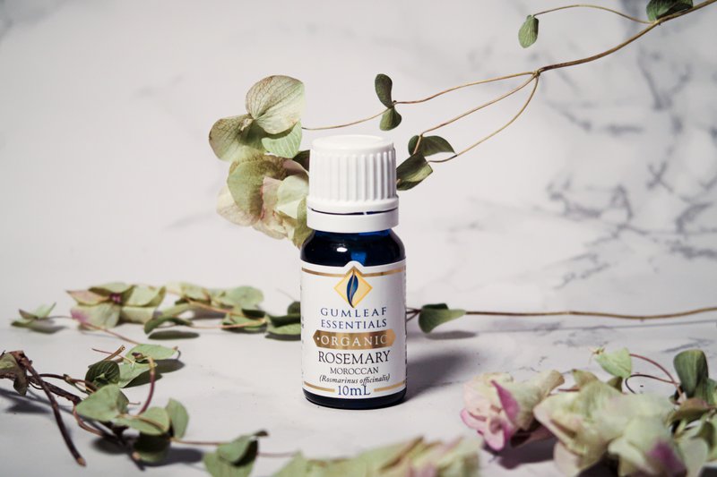 【澳洲原装】Organic Rosemary Moroccan有机迷迭香精油 - 香薰/精油/线香 - 精油 