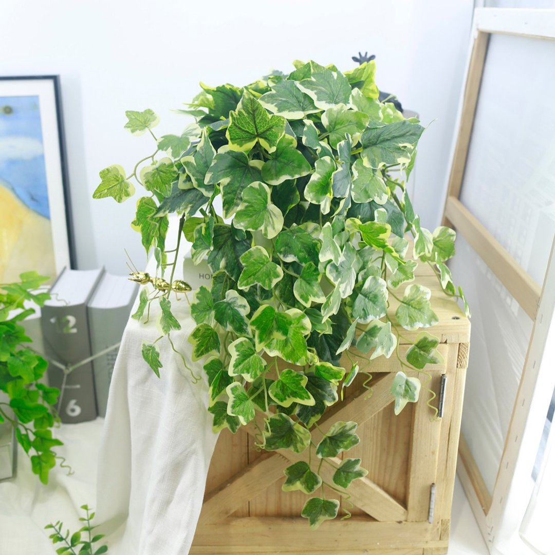 高拟真绿白边长春藤植栽/环境绿化/拟真植栽/藤蔓植物/居家布置 - 植栽/盆栽 - 其他材质 