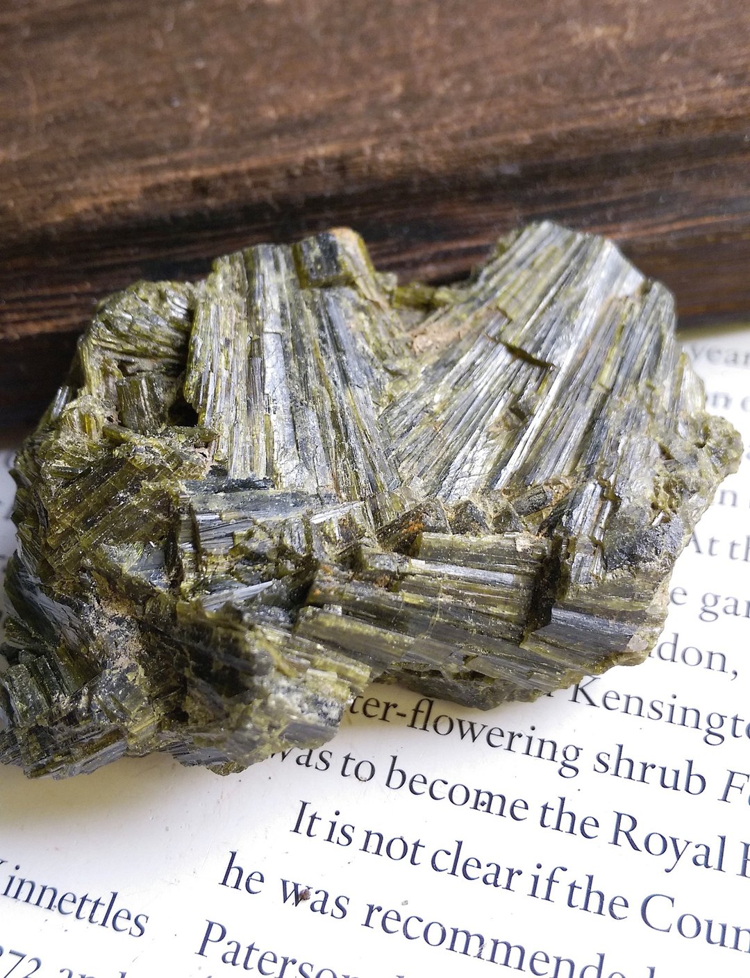 Epidote 马达加斯加产地 绿帘石 天然矿石 原矿 - 摆饰 - 其他材质 