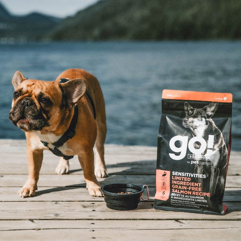【狗主食】go! 鲑鱼全犬 低致敏系列 无谷 狗饲料 皮毛保健 - 狗罐头/鲜食 - 新鲜食材 