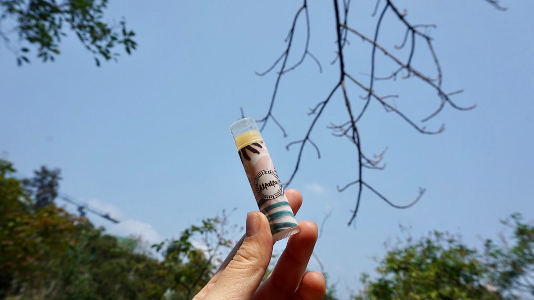【蜂蜜修护润唇膏】湿疹肌可用 | 注册中医师配方 | 天然草本 - 唇部保养 - 浓缩/萃取物 金色