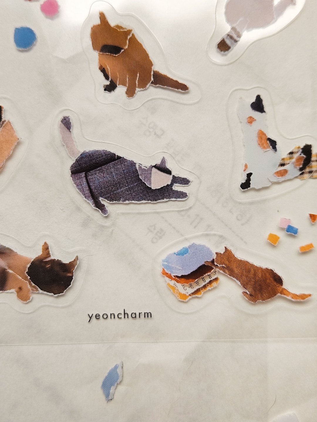 遇见一只猫 猫咪透明图鉴贴纸 - 贴纸 - 塑料 