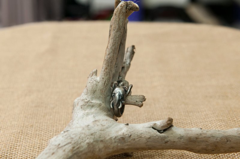 象   深刻的记忆 - 戒指 - 纯银 银色