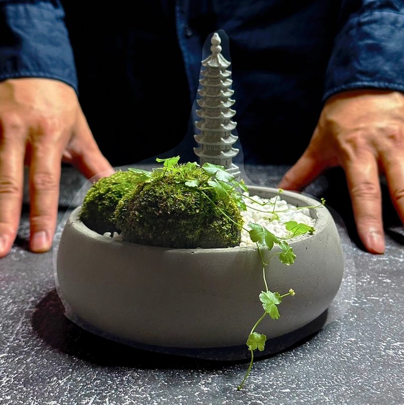 自然苔玉美学 / 文昌 / 侘寂风 / 禅风 / 盆栽 / 摆饰 - 植栽/盆栽 - 植物．花 