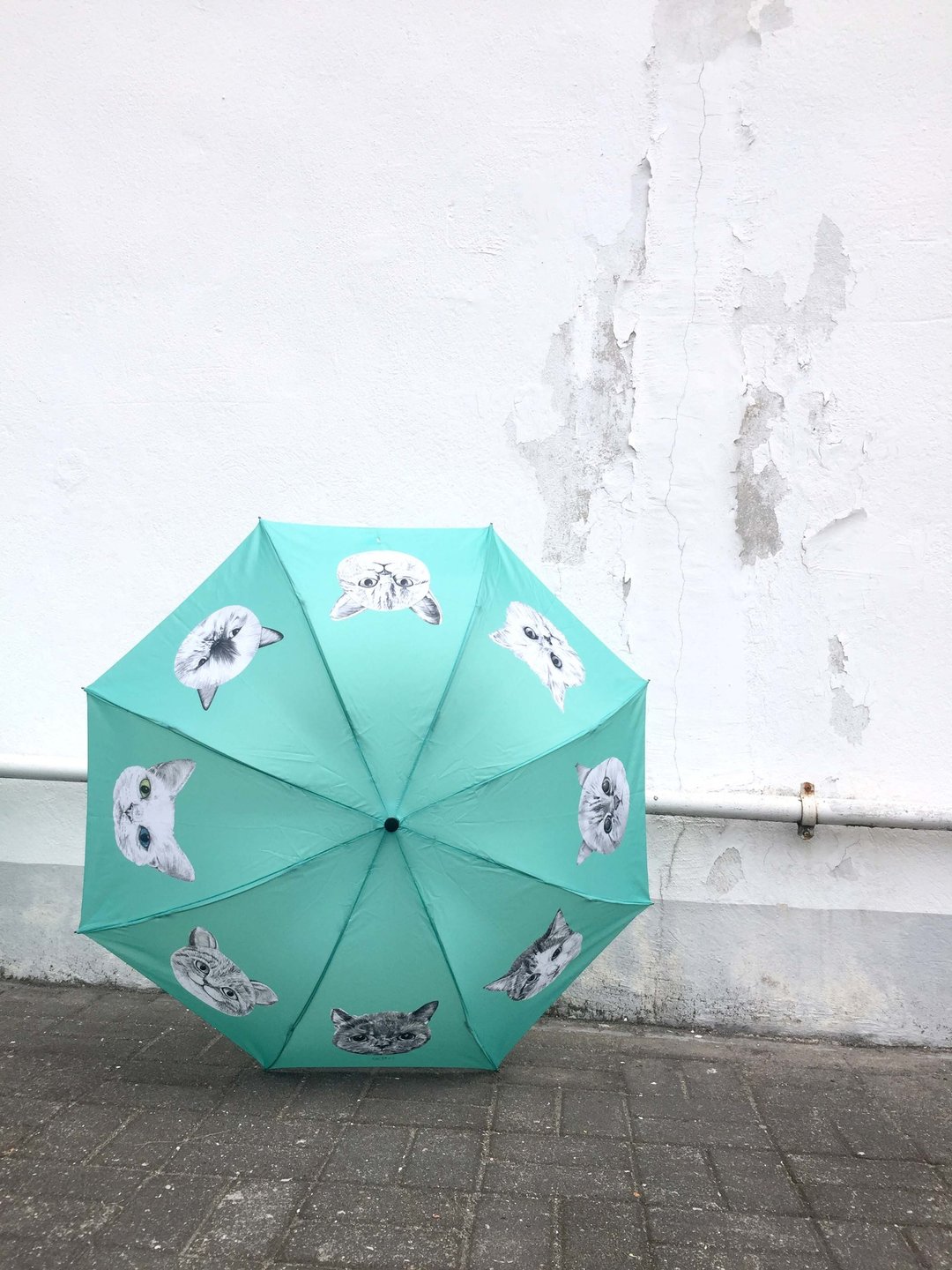 专属订单 - adc｜派对动物｜手动｜三折伞｜雨伞｜猫 - 雨伞/雨衣 - 防水材质 绿色