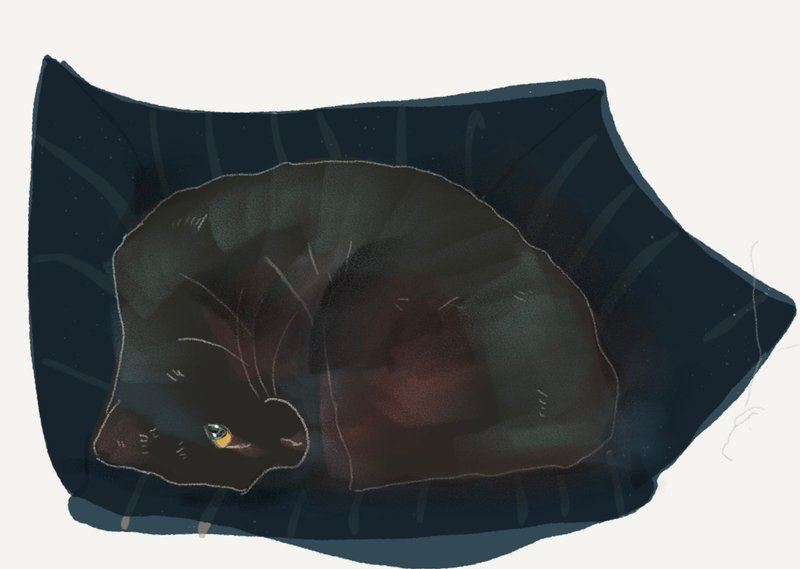 黑猫电火布 - 纸胶带 - 纸 黑色