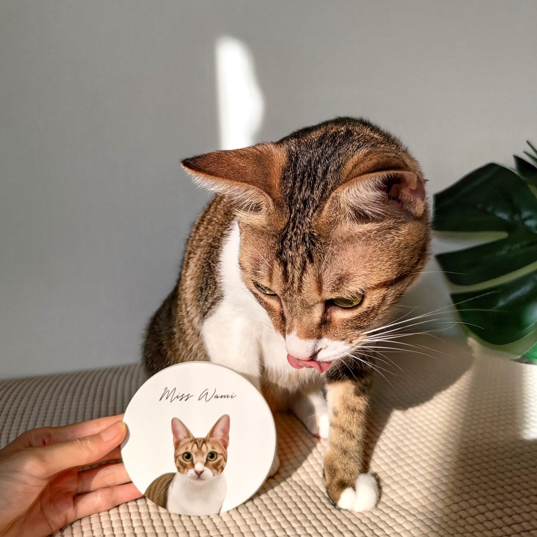 宠物似颜绘 圭藻土 \ 陶瓷 吸水杯垫 - 五入 狗 猫 兔子 老鼠 - 杯垫 - 其他材质 