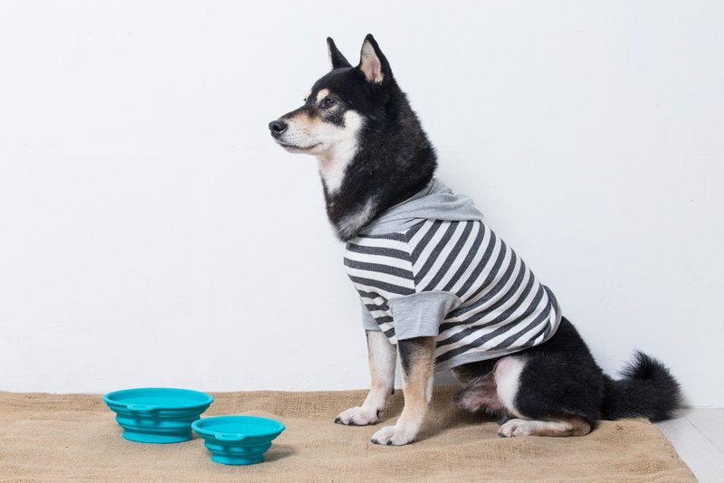 【尾巴与我】连帽宠物衣 条纹款 浅灰 - 衣/帽 - 棉．麻 