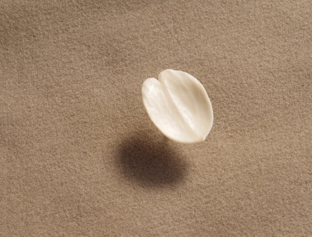 Antler Carving Petal - Lapel Pin, made-to-order - 徽章/别针 - 环保材料 白色