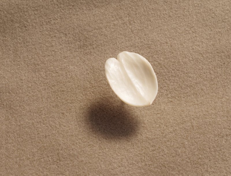 Antler Carving Petal - Lapel Pin, made-to-order - 徽章/别针 - 环保材料 白色