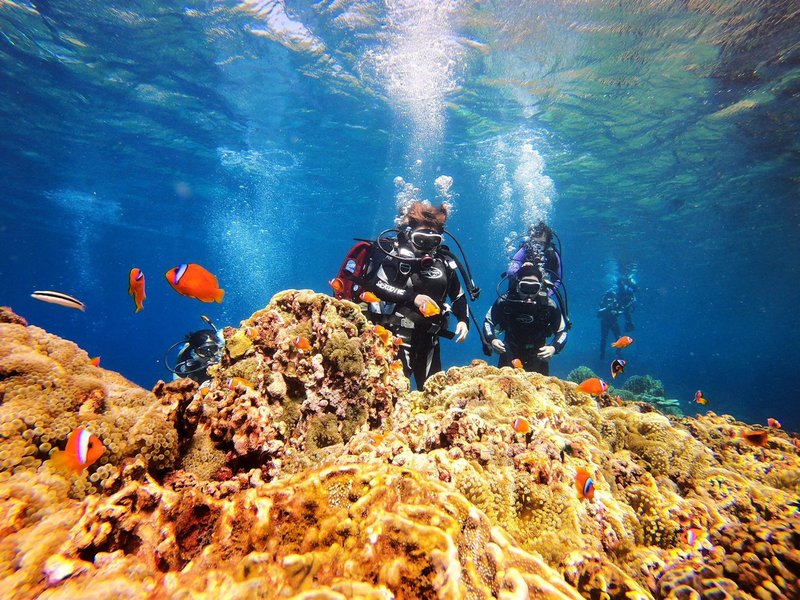 【台东兰屿】一对一体验潜水 - 户外/室内活动 - 其他材质 