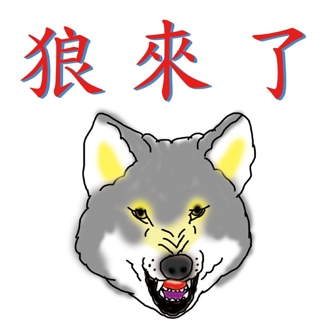 狼来了 T - shirt - 女装 T 恤 - 棉 多色