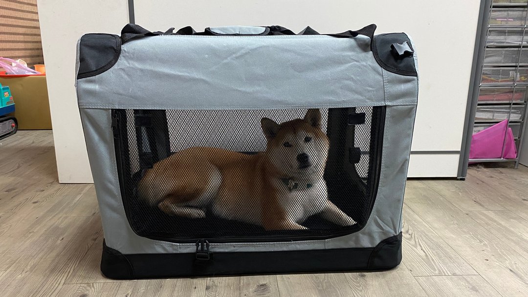 柴犬大学 CANBO宠物折叠外出笼 外出袋 外出包 宠物包 笼内训练 - 床垫/笼子 - 尼龙 灰色