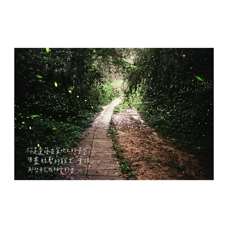 \遗落草地的星空/Sheepyrose明信片 - 卡片/明信片 - 纸 