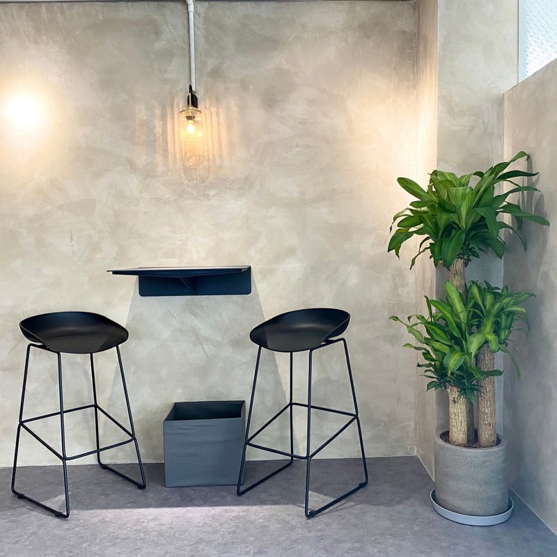 【限新竹地区】【送礼盆栽】巴西铁树 | 溪石水泥圆柱盆 - 植栽/盆栽 - 植物．花 