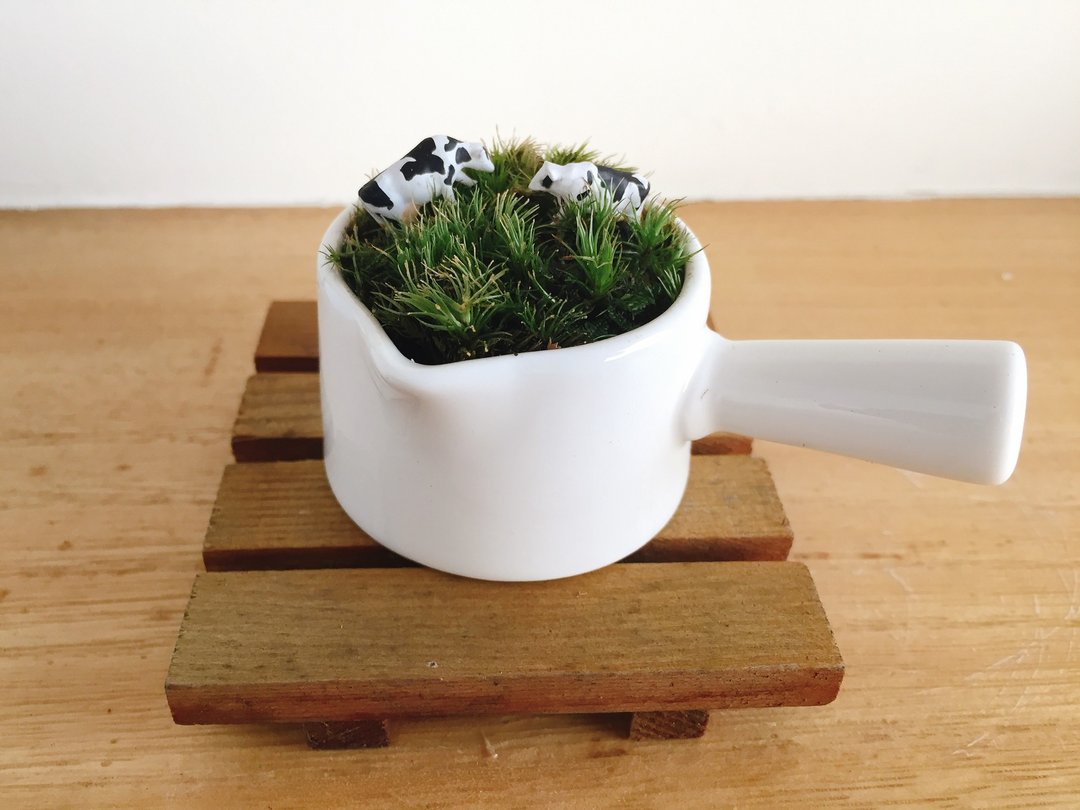 纯自然 草原上的动物 乳牛 白瓷器 原木板 盆栽 苔 植物 送礼 微景观 animal micro landscape - 植栽/盆栽 - 植物．花 白色